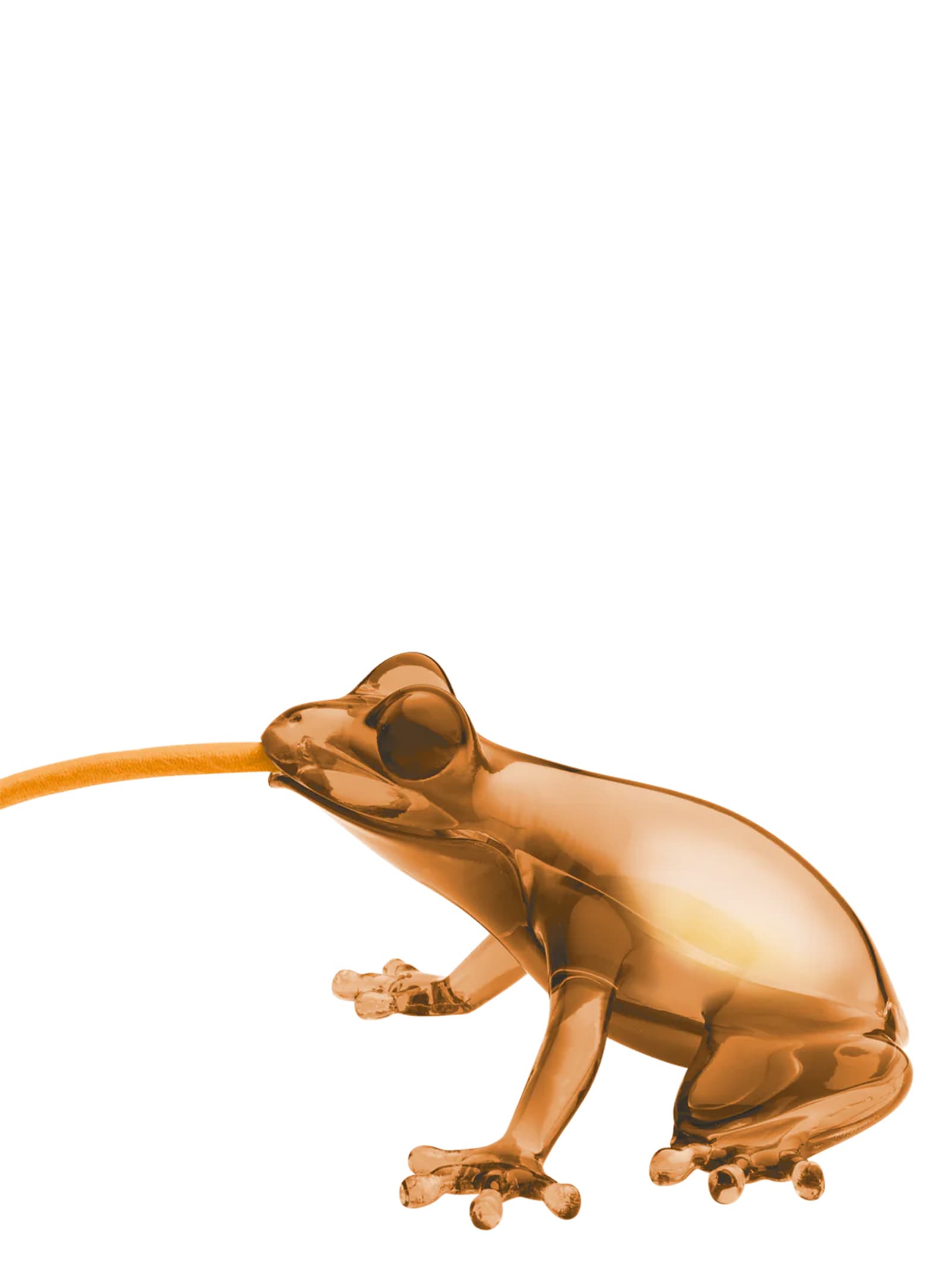 'Hungry Frog' lamp