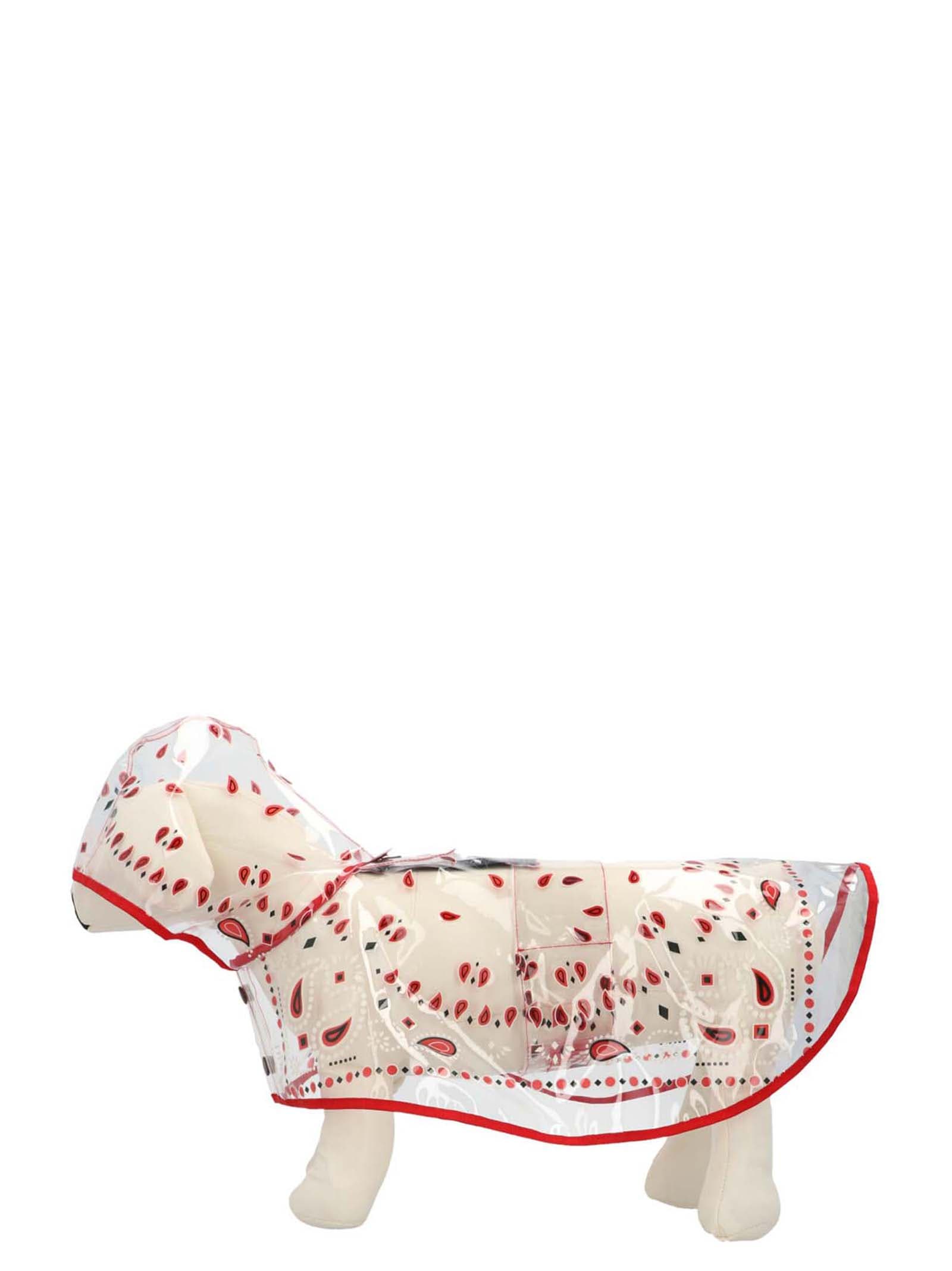 Alanui x Poldo Dog Couture trench coat